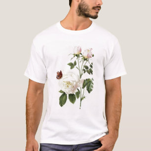T-shirt Rosa : Bengale le Hymenes, des 'roses de Les
