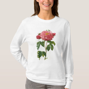 T-shirt Rosa Gallica Aurelianensis