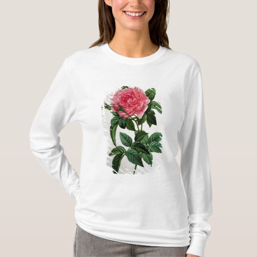 T-shirt Rosa Gallica Regallis (Devant)