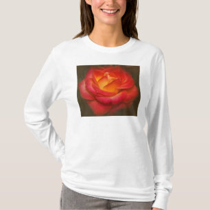 T-shirt Rose à flamme sur parchemin