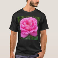 Rose romantique 'Léonard de Vinci'