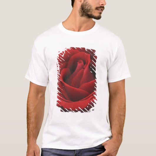 T-shirt Rose rouge de floraison (Devant)