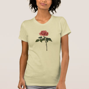 T-shirt Rose simple de rose : Dessin au crayon de couleur