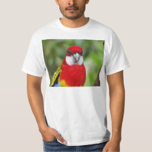 T-shirt Rosella oriental masculin