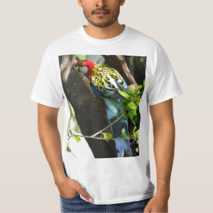 T-shirt Rosella oriental masculin
