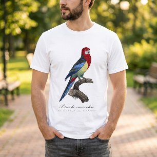 T-shirt Rosella orientale ou Perruche à tête pâle Platycer