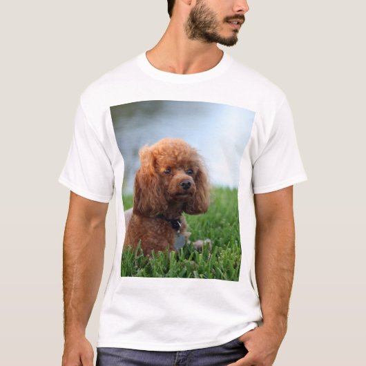 T-shirt rouge de caniche de jouet (Devant)