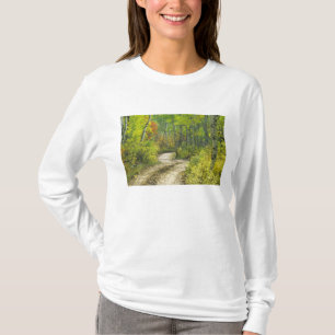 T-shirt Route avec couleurs d'automne et trembles à Kebler