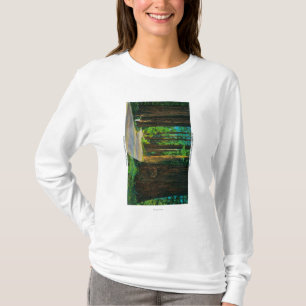 T-shirt Route de séquoia en parc de séquoia d'état de