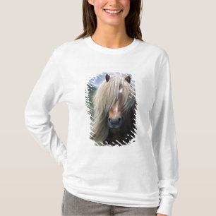 T-shirt Royaume-Uni, Écosse, îles Shetland, poney Shetland