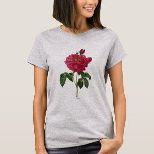 T-shirt Roza Gallica