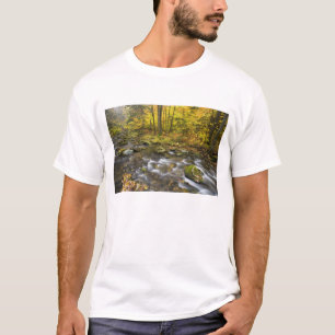 T-shirt Ruisseau Sanderson. Forêt d'État de Chester-Blanf
