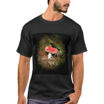 Russeau à chapeau rouge