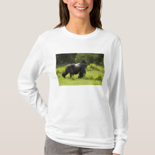 T-shirt Rwanda, Parc national des Volcans