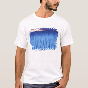 T-shirt SA, Chili, région de Coquimbo, Nieve Penitente;