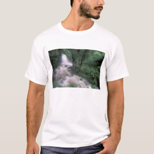T-shirt SA, Pérou, S.H. Machu Picchu, Cascade et nuage