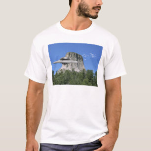 T-shirt Salamandre d'UFO à la tour de diables