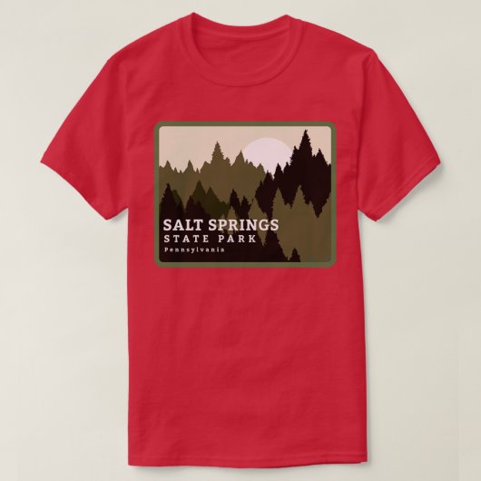 T-shirt Salt Springs State Park Pennsylvania Forest Sunris (Design devant)
