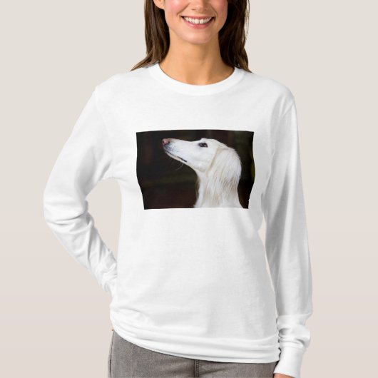 T-shirt Saluki recherchant (Devant)
