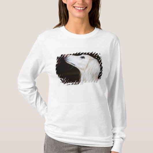 T-shirt Saluki recherchant (Devant)