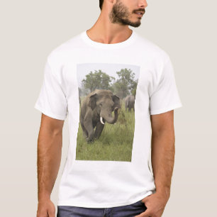 T-shirt Salutation de l'éléphant asiatique indien