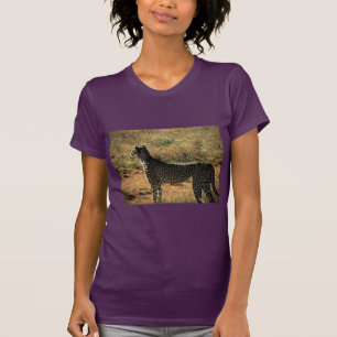 T-shirt Samburu Cheetah