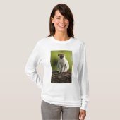 T-shirt Samburu Game Reserve, Kenya, Vervet Monkey, (Devant entier)