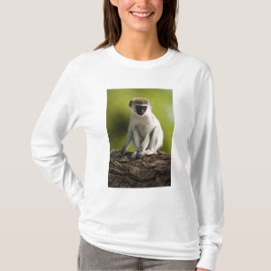 T-shirt Samburu Game Reserve, Kenya, Vervet Monkey,