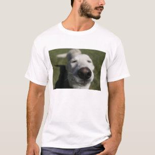 T-shirt Santa Fe, Nouveau-Mexique