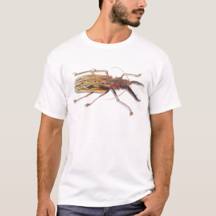 T-shirt Scarabée en bois