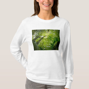 T-shirt Scène forestière dans le parc national d'Acadia, M