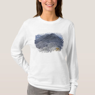 T-shirt Schloss Hohenschwangau