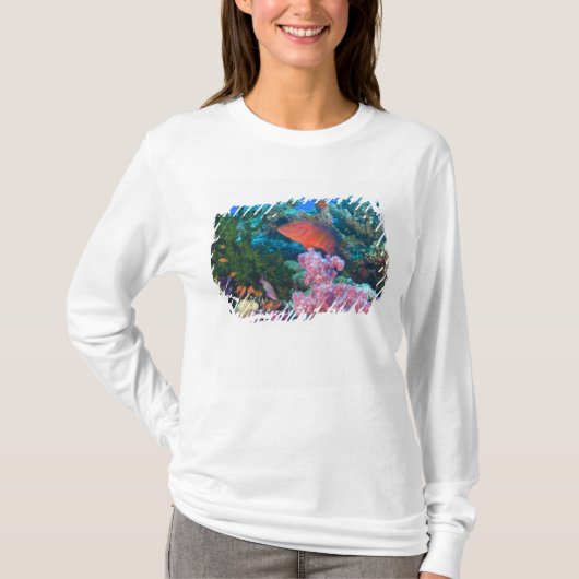 T-shirt Scolarisation Pseudanthias (Devant)