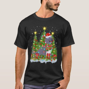 T-shirt Seal Lighting Xmas Tree Lover Funny Seal Noël
