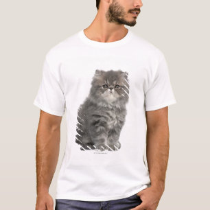 T-shirt Séance persane de chaton (2 mois)
