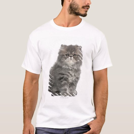 T-shirt Séance persane de chaton (2 mois) (Devant)