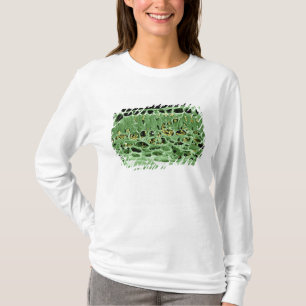 T-shirt Section transversale de feuille