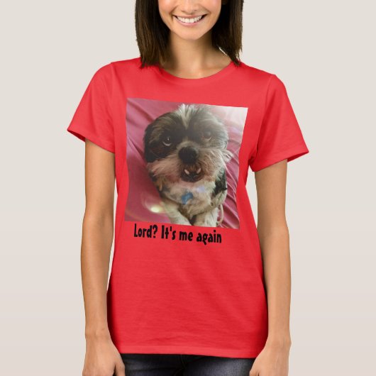 T-shirt Seigneur ? Il est moi encore Shih Tzu Meme (Devant)