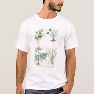 T-shirt Sel Bush et absinthe et cardamome d'Anthora