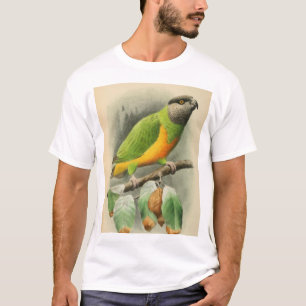 T-shirt Sénégal Parrot, homme adulte