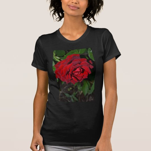 T-shirt S'est levé dans rouge-foncé (Devant)