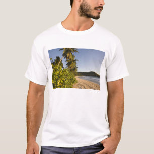 T-shirt Seychelles, île de Mahe, plage d'Anse Takamaka,