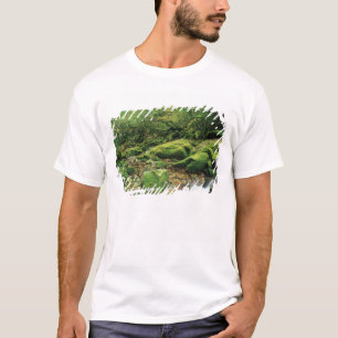 T-shirt Shiratani Unsuikyo, Yakushima, Kagoshima, Japon