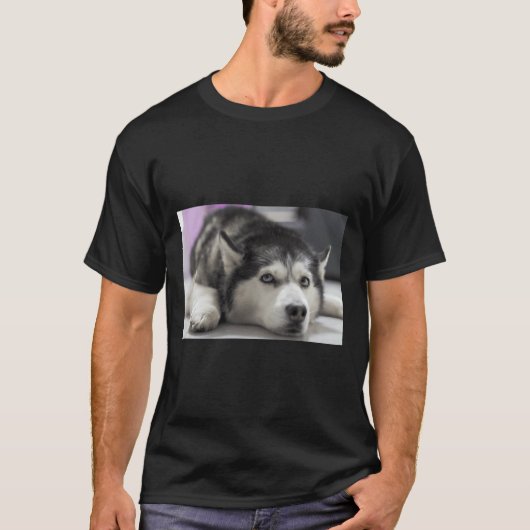 T-shirt Sibérie Husky 32 (Devant)