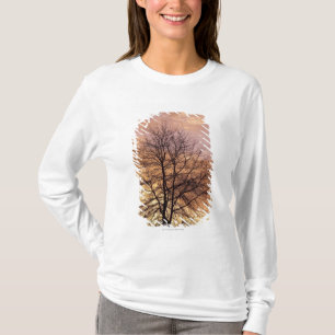 T-shirt Silhouette d'un arbre avec le ciel rose et orange