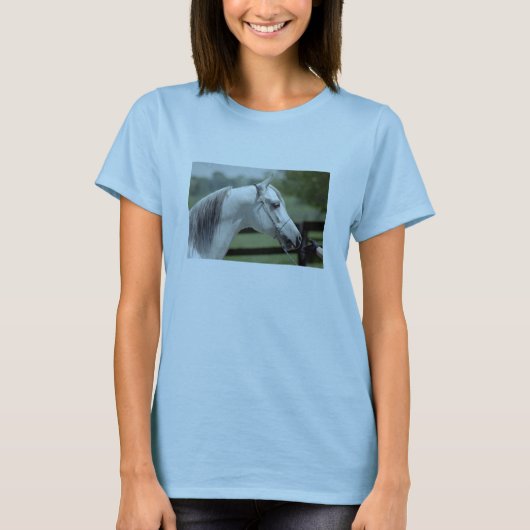 T-shirt Silverstone Shamal (Devant)