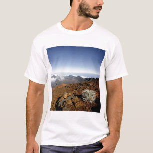 T-shirt Silversword sur le bord du cratère Haleakala de pr