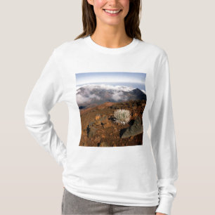 T-shirt Silversword sur le bord du cratère Haleakala depui