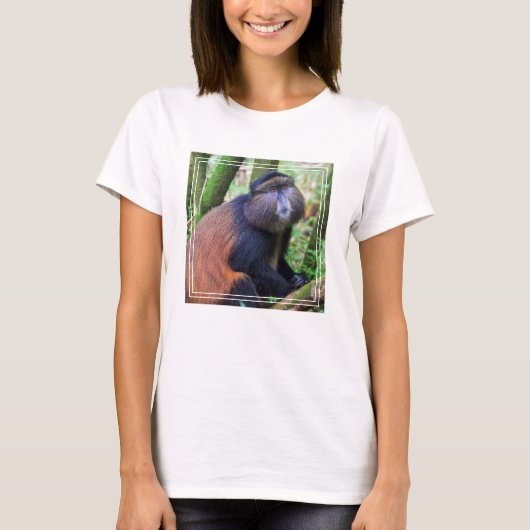 T-shirt Singe doré, Rwanda (Devant)