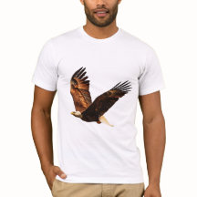 Sky Sovereign : Aigle majestueux